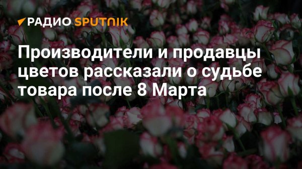 после 8 марта