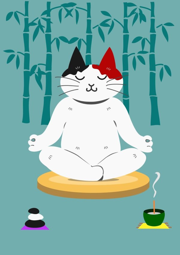 йога котики