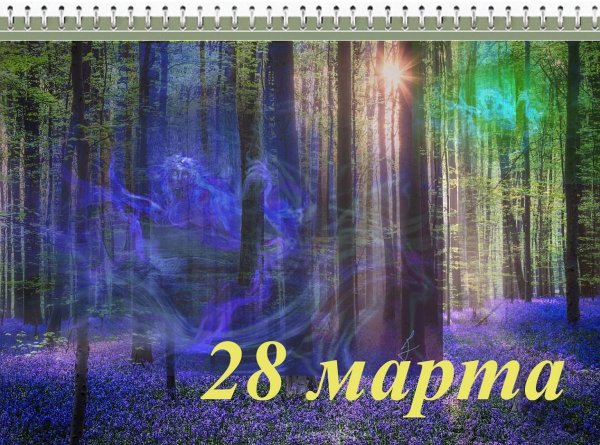 лесное ухоженье 28 марта