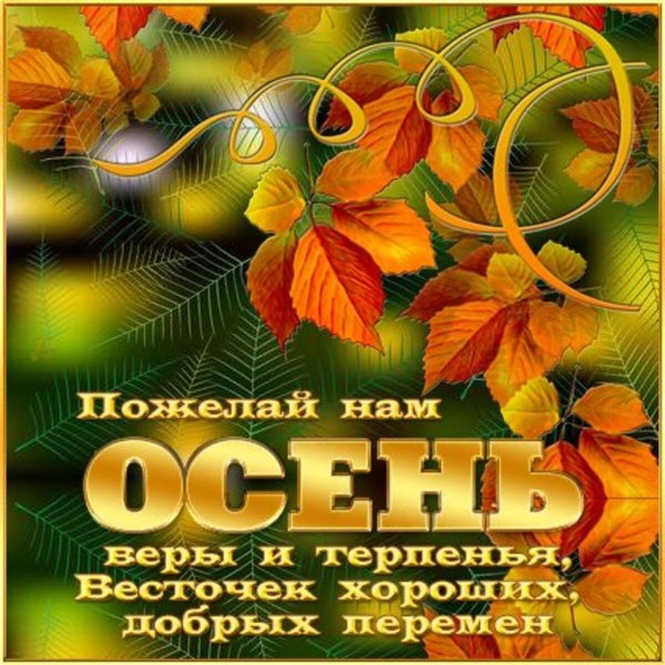 красивая осенняя открытка