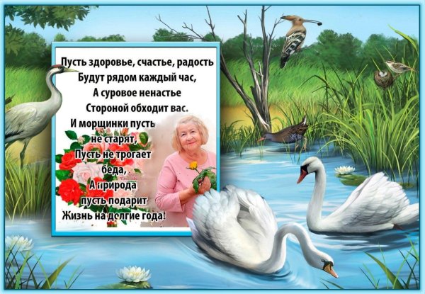 картина лебеди