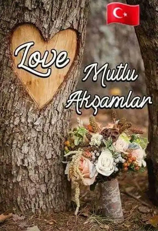 сердце в дереве