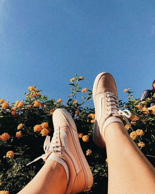 летняя эстетика