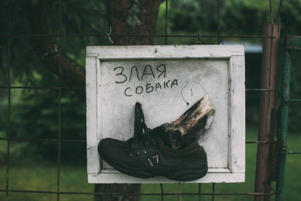 злой собака