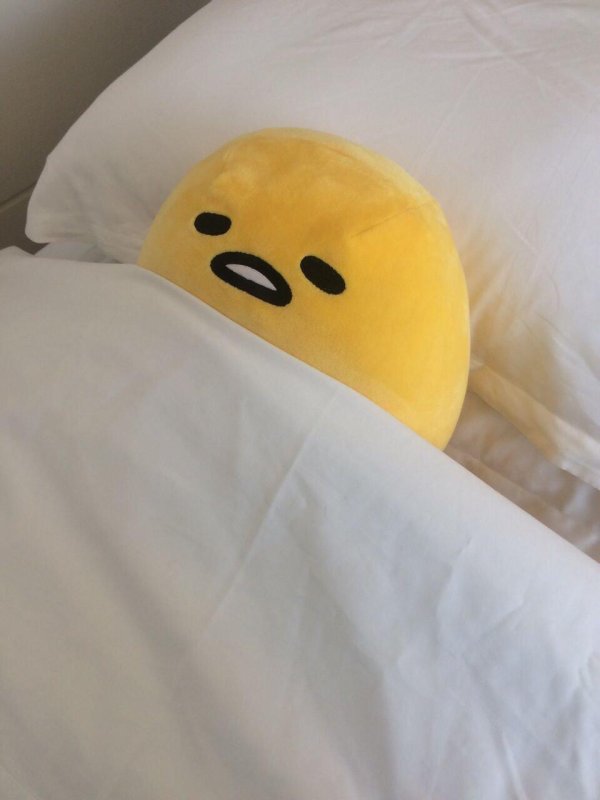 гудетама игрушка плюшевая