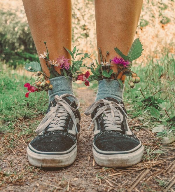 кеды ванс aesthetic