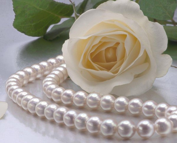 белый жемчуг