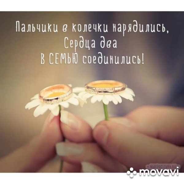 ромашковая свадьба открытки
