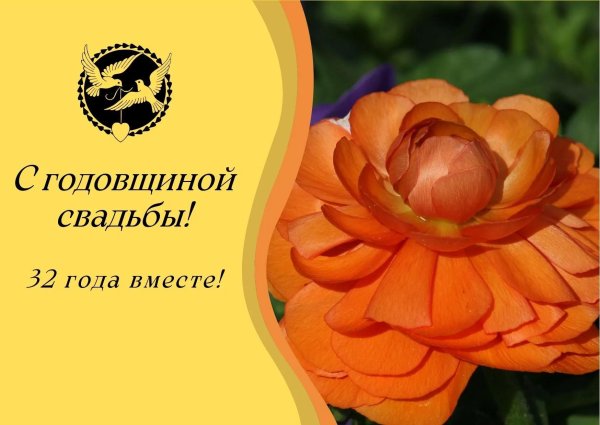 ранункулюс оранж