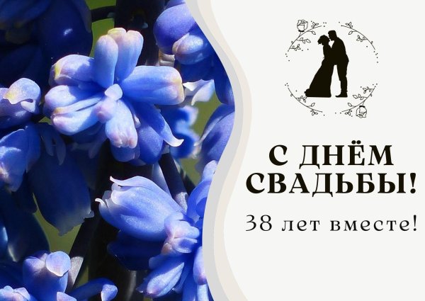 38 лет какая свадьба поздравления