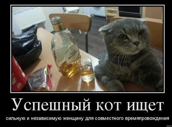 Вечер пятницы