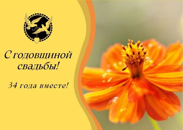 с днём свадьбы 34 года вместе