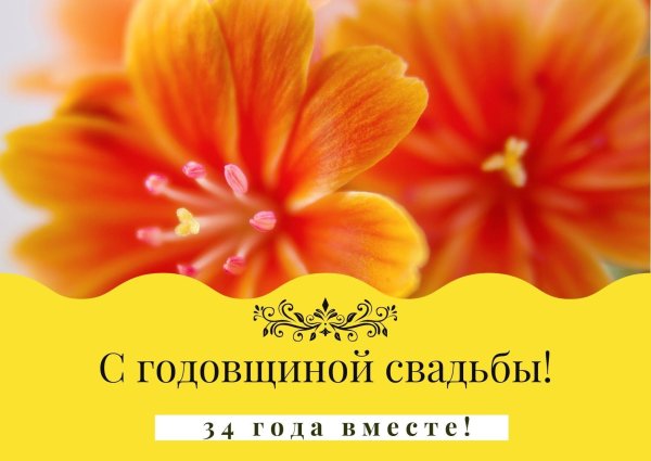 оранжевые цветы