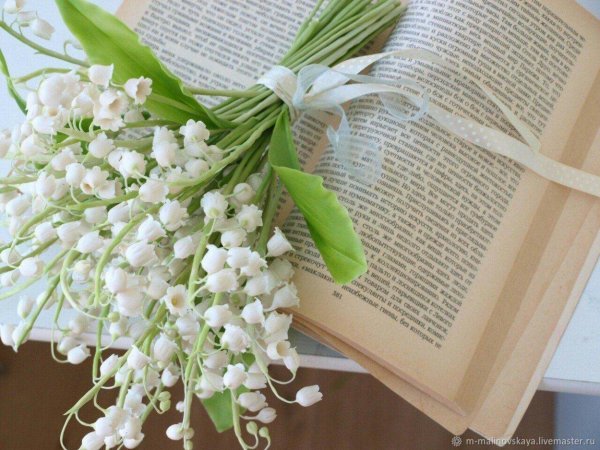 ландыши цветок