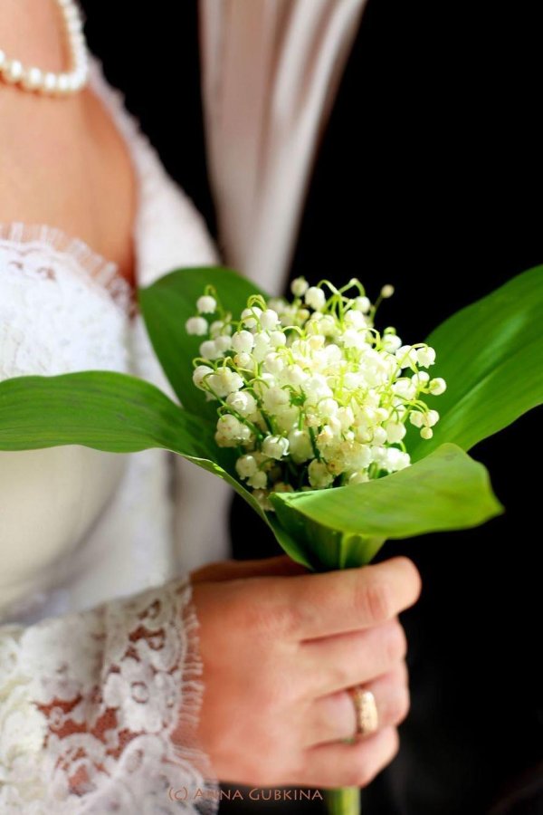 ландыш букет