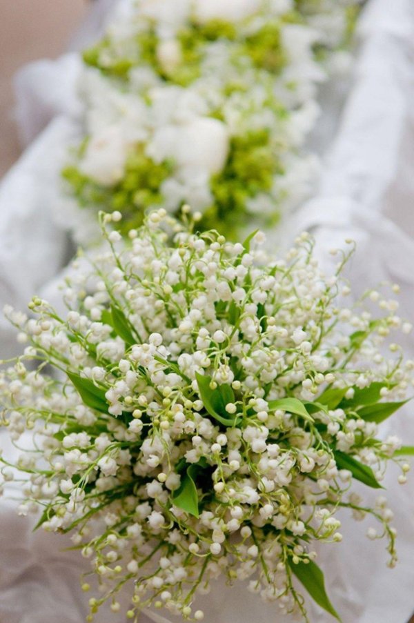 ландыши цветок