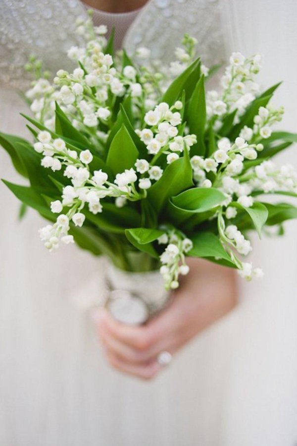 ландыши цветок