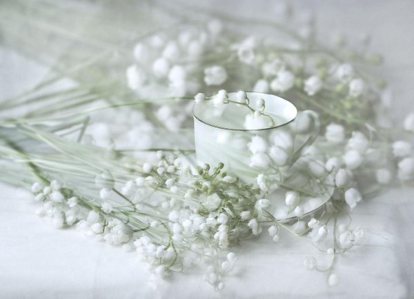 натюрморт с ландышами