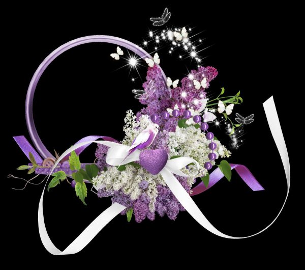 рамка сирень