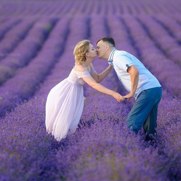 лавандовое поле