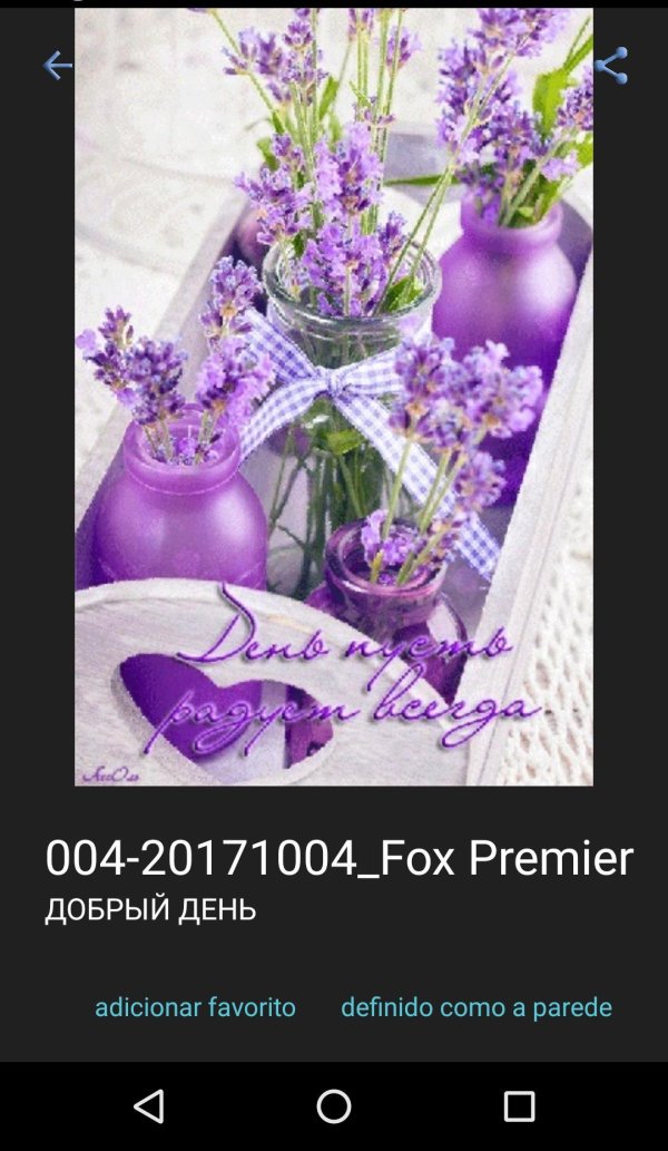 лавандовые цвета