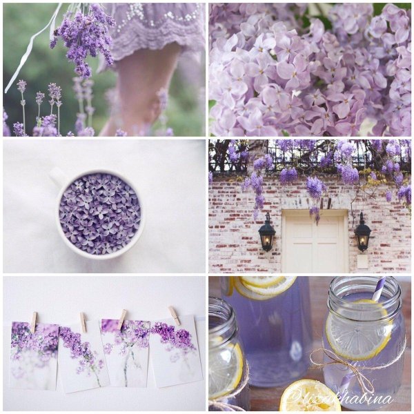 лавандовые оттенки