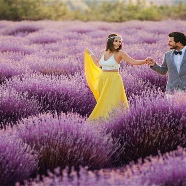 испарта лавандовые поля