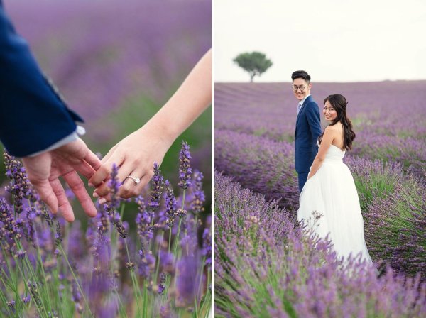 лавандовое поле фотосессия