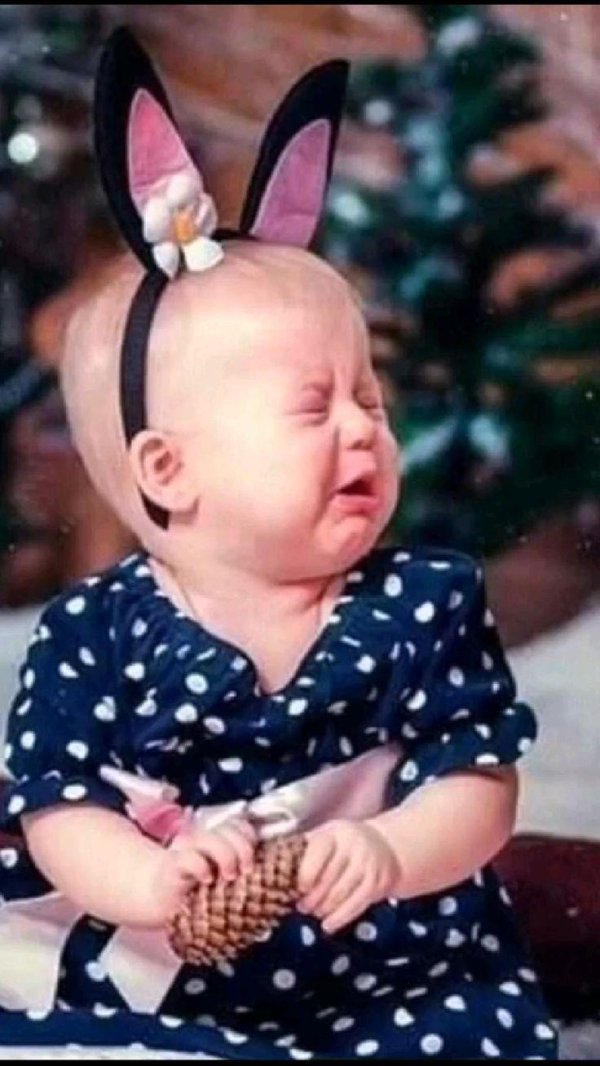 веселые высказывания