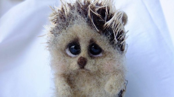 печальный ежик