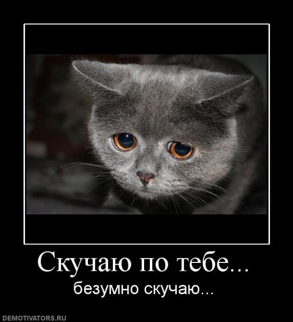 скучала по тебе