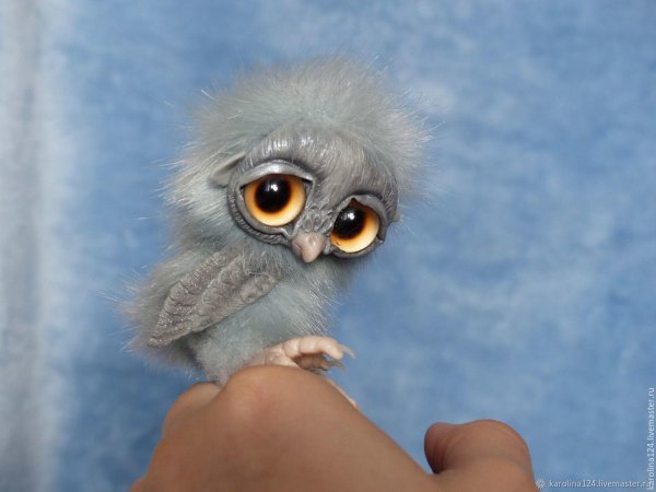 сова в смешанной технике