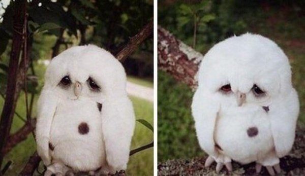 настроение печалька