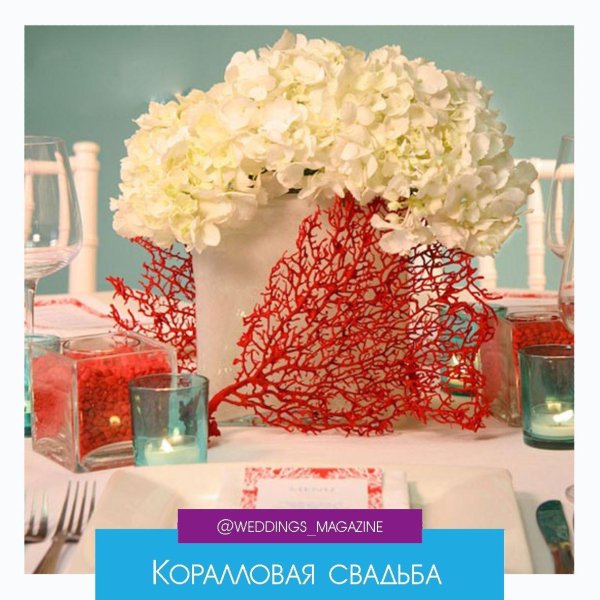 коралловая свадьба
