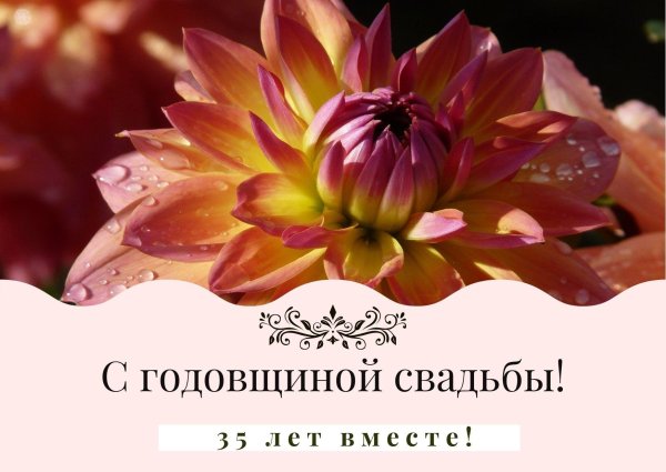 с 47 годовщиной свадьбы