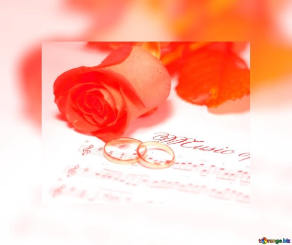 с днем коралловой свадьбы