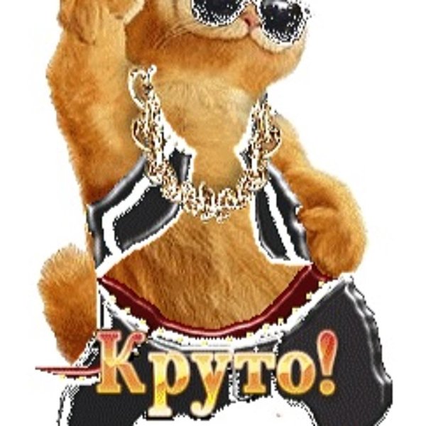 крутые гифы