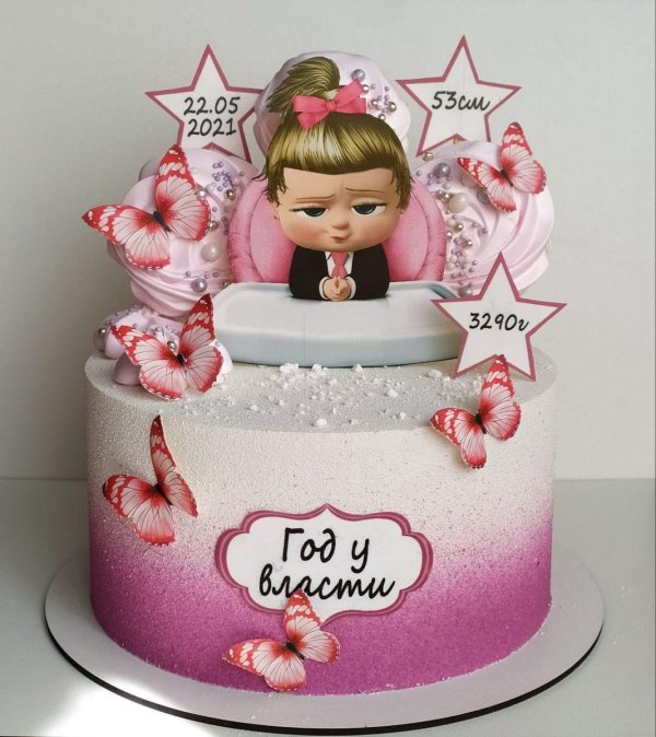 торт 1 год у власти для девочек