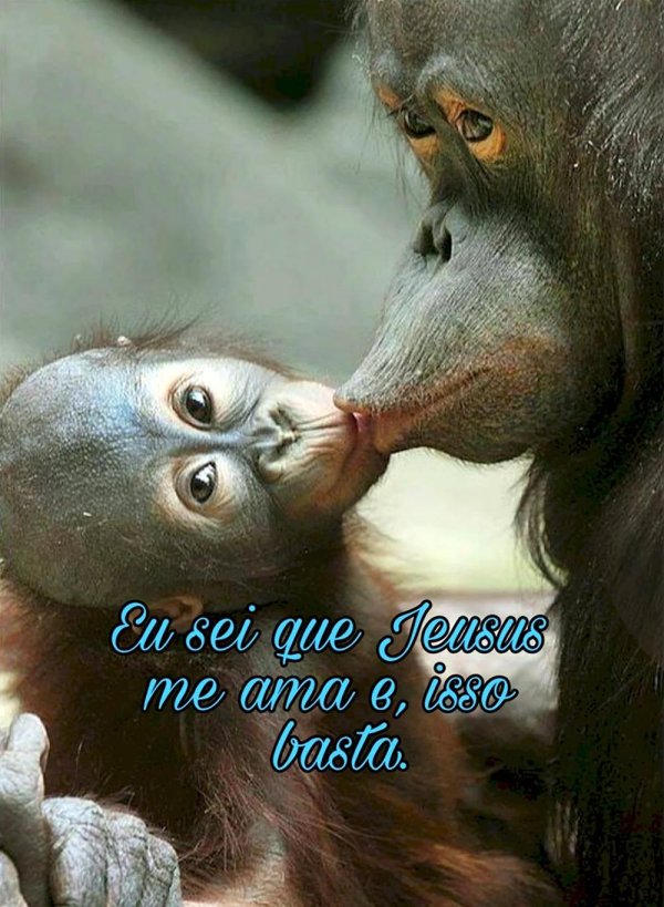 обезьянки обнимаются