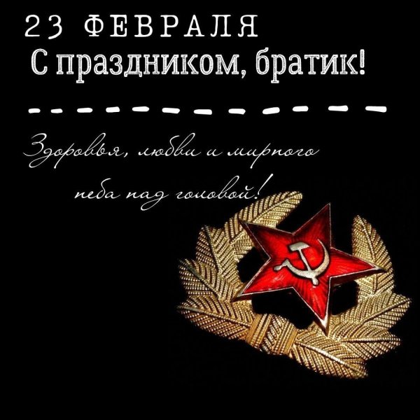 открытки с днём защитника отечества брату