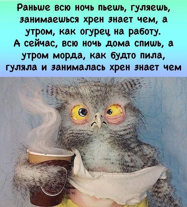 невыспавшаяся сова