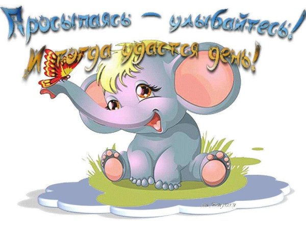 веселый слоненок