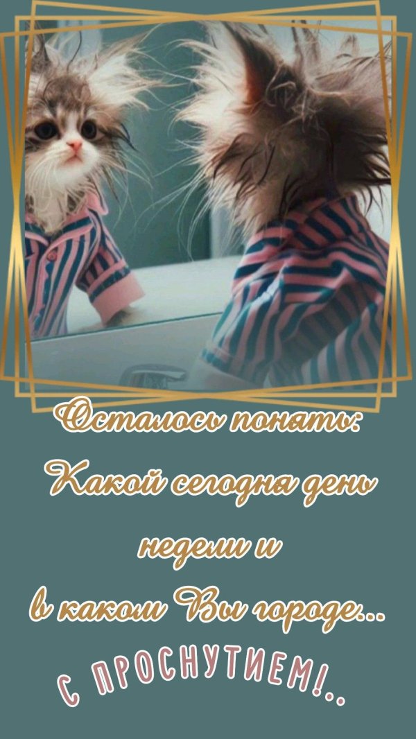 доброго утра юмор