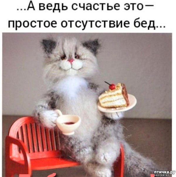 счастье это отсутствие бед