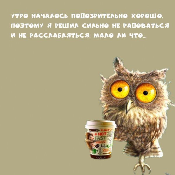 доброе утро сова