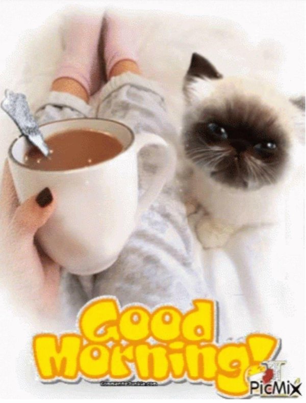 теплого утра