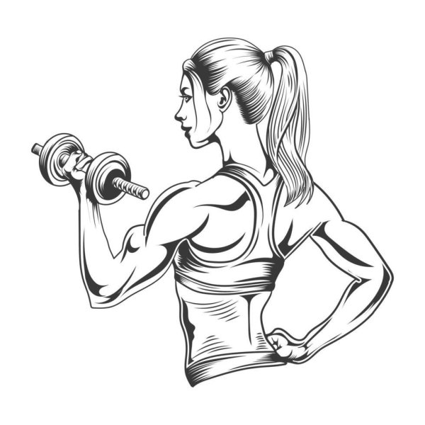 тренировка рисунок