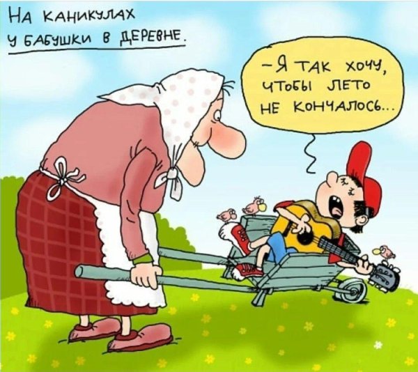 Каникулы закончились
