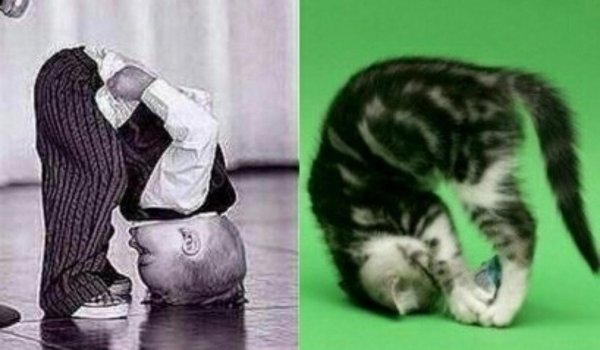 нижайший поклон