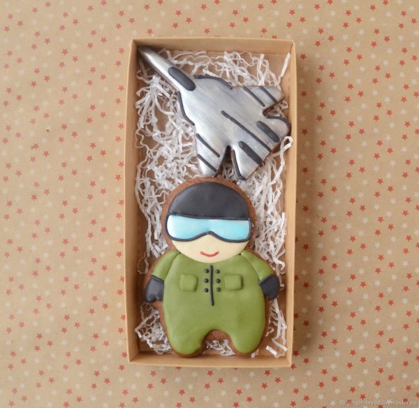 подарок летчику